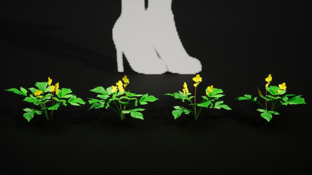 韓国の宝石、黄色い花 マミプル