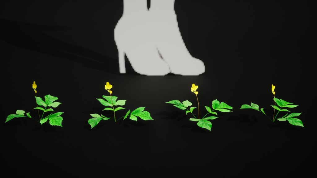 韓国の宝石、黄色い花 マミプル