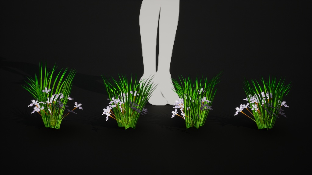 雪のように純粋な白花アヤメ