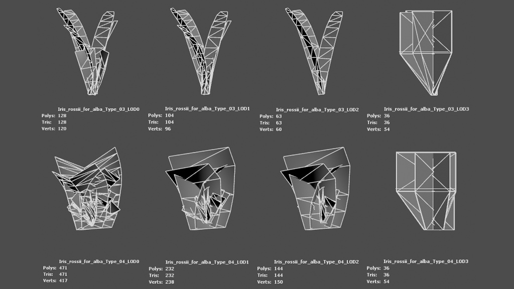 雪のように純粋な白花アヤメ