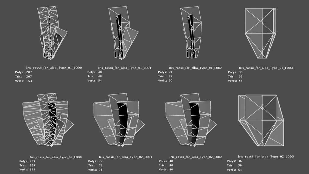 雪のように純粋な白花アヤメ