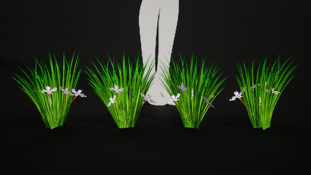 雪のように純粋な白花アヤメ