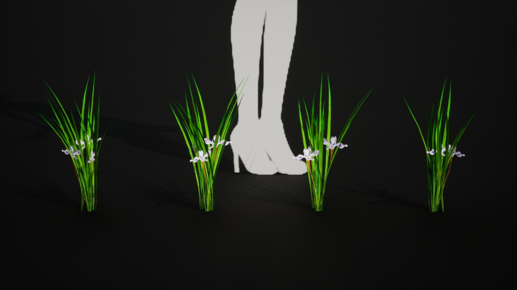 雪のように純粋な白花アヤメ