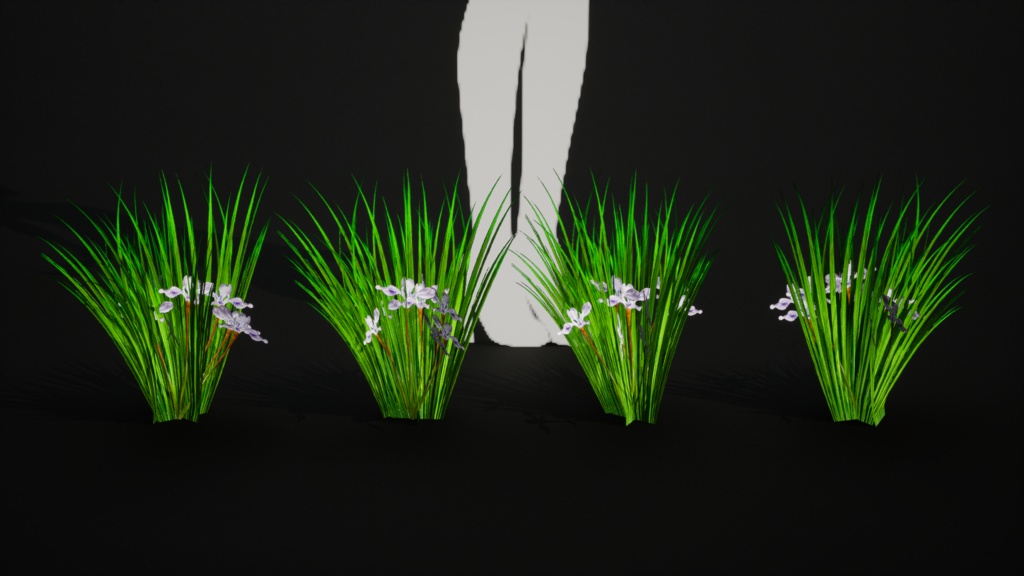 雪のように純粋な白花アヤメ