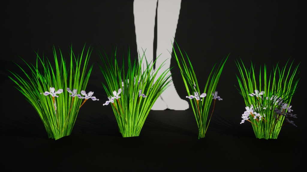 雪のように純粋な白花アヤメ