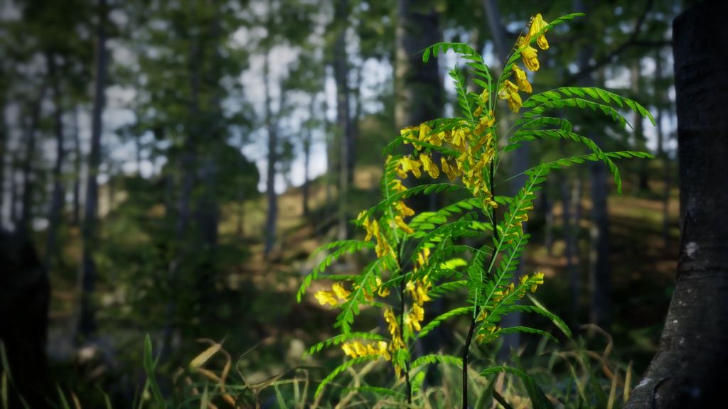 韓国の黄金の宝石、カイネサム