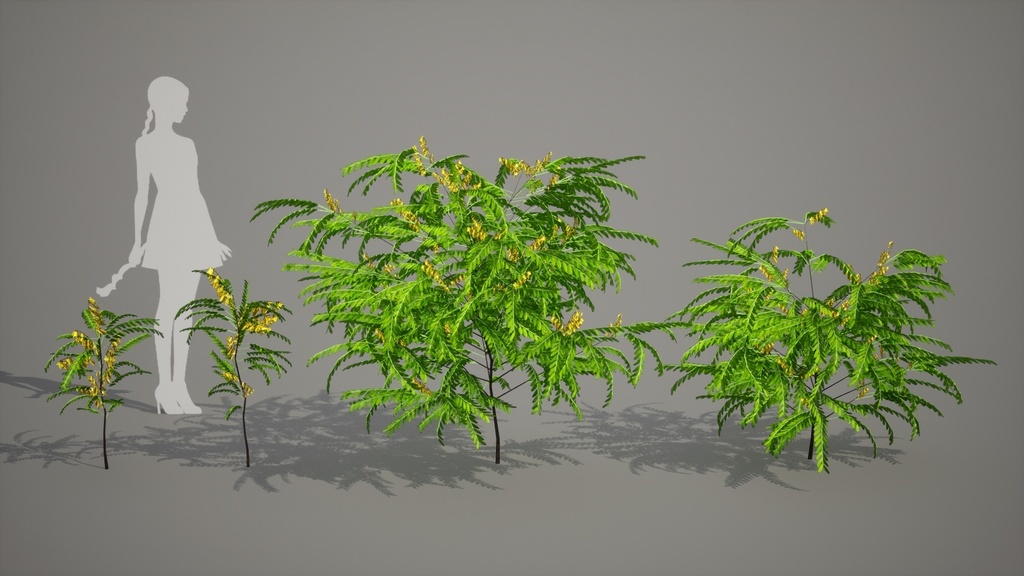 韓国の黄金の宝石、カイネサム