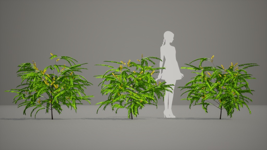 韓国の黄金の宝石、カイネサム