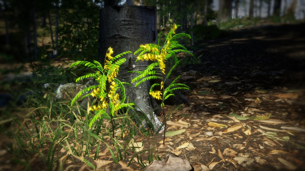 韓国の黄金の宝石、カイネサム