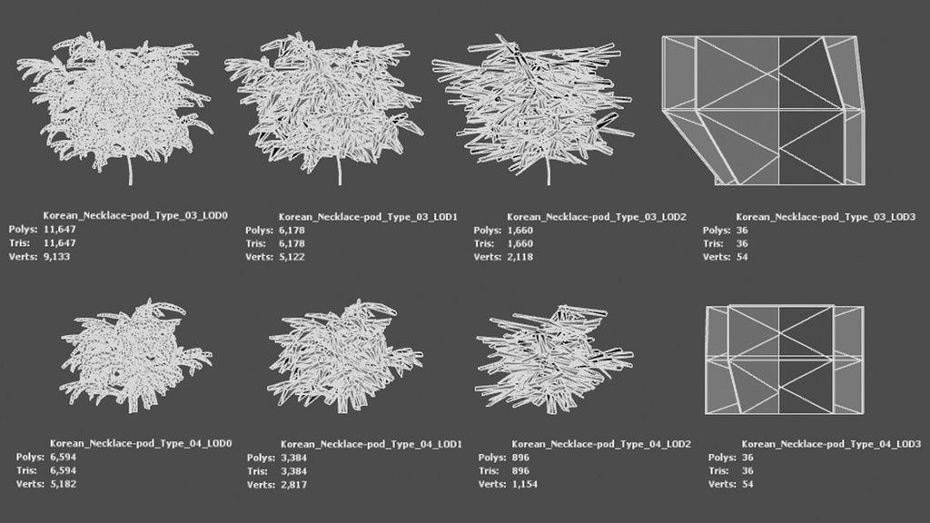 韓国の黄金の宝石、カイネサム
