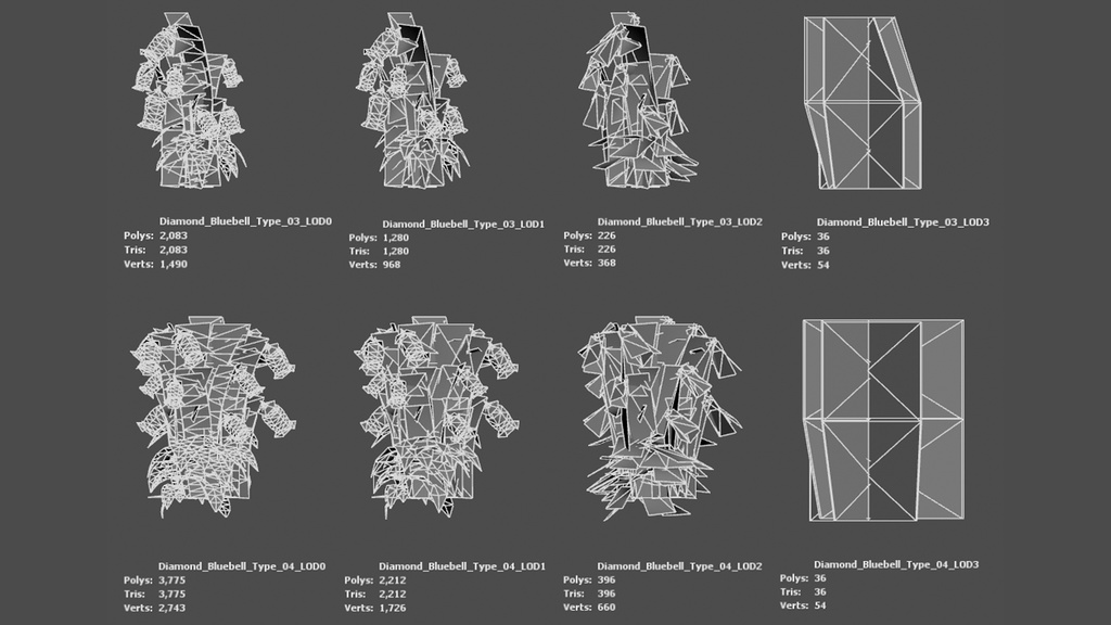 神秘の青紫の鐘、金剛チョロンバナ