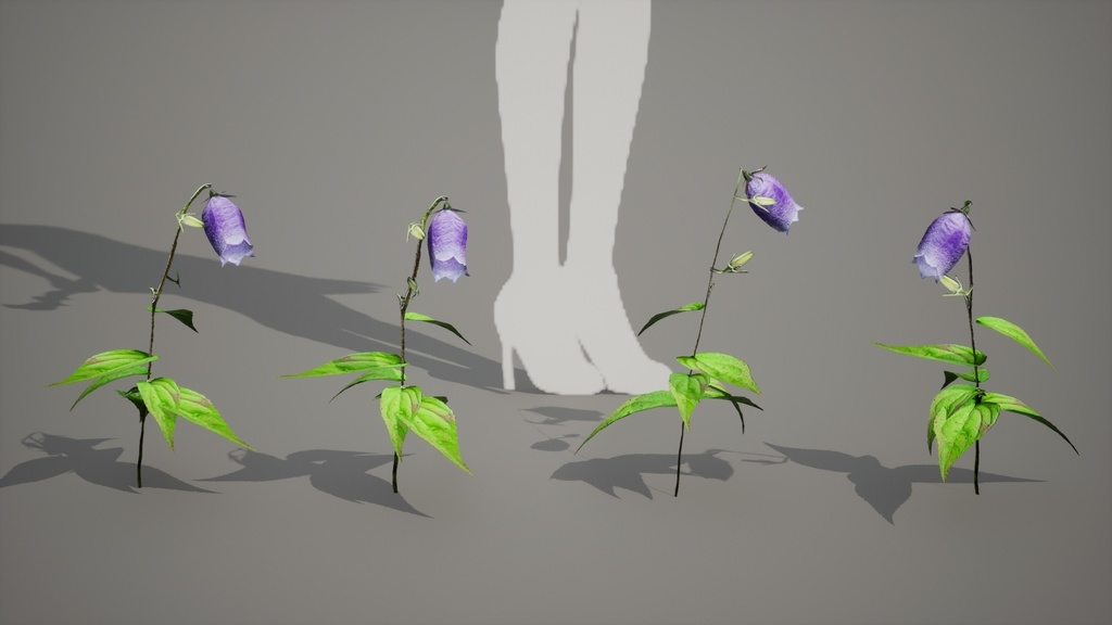 神秘の青紫の鐘、金剛チョロンバナ