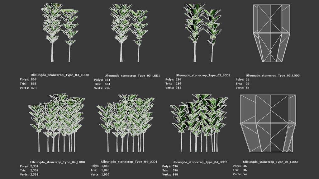 独島の黄金の宝石、セムギリンソウ