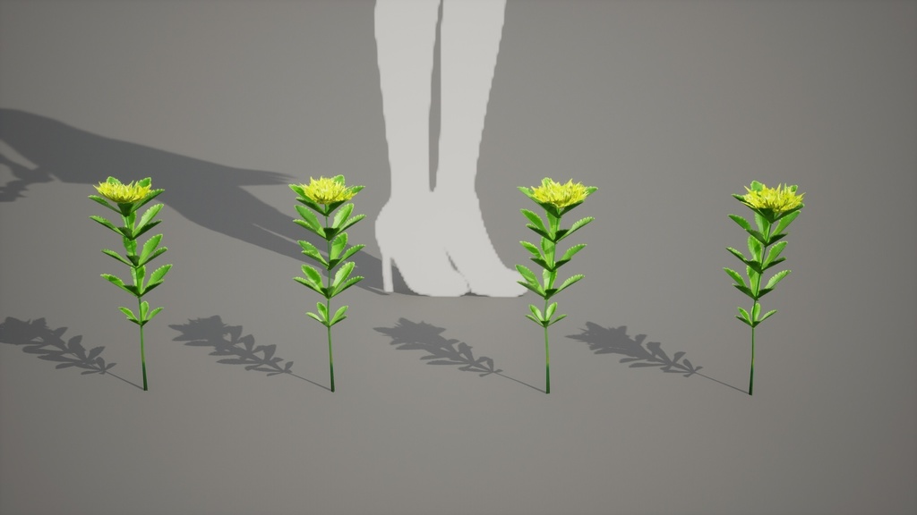 独島の黄金の宝石、セムギリンソウ