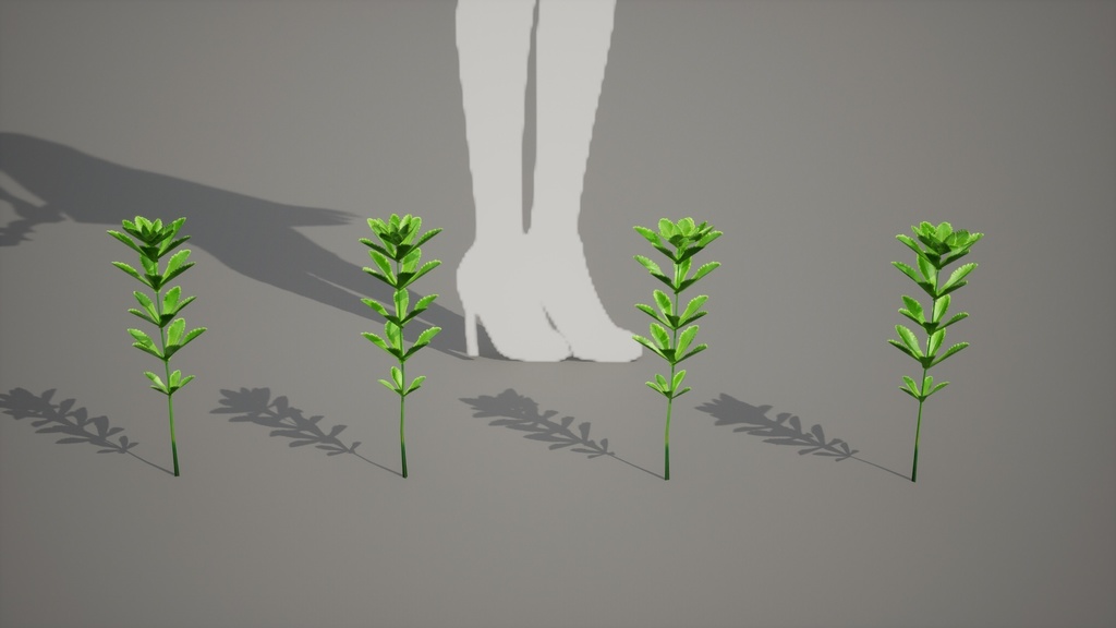 独島の黄金の宝石、セムギリンソウ