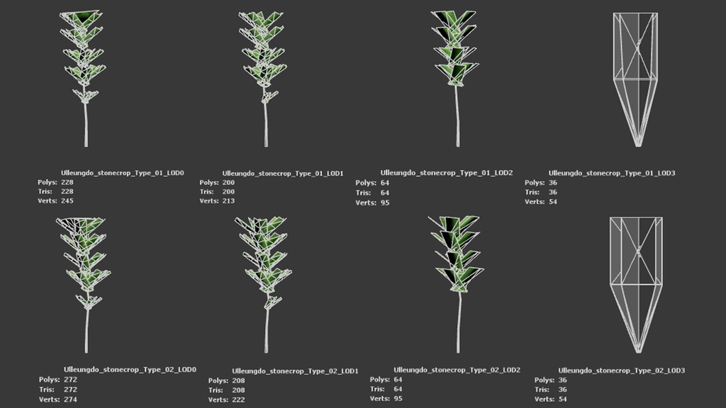独島の黄金の宝石、セムギリンソウ