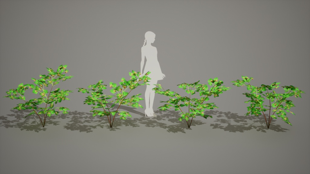 無棘の宝石、タケシマキイチゴ