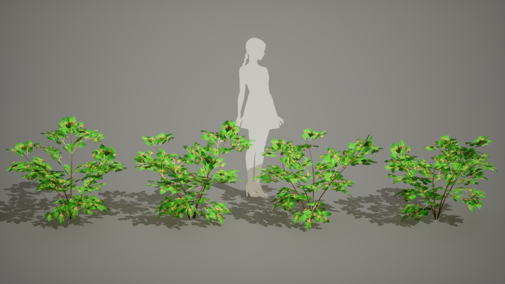 無棘の宝石、タケシマキイチゴ