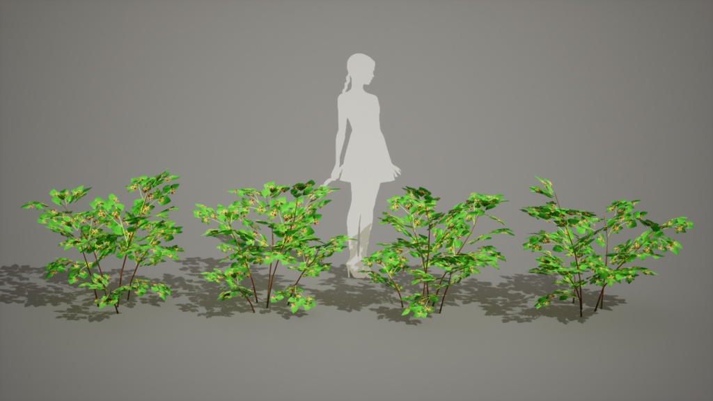 無棘の宝石、タケシマキイチゴ