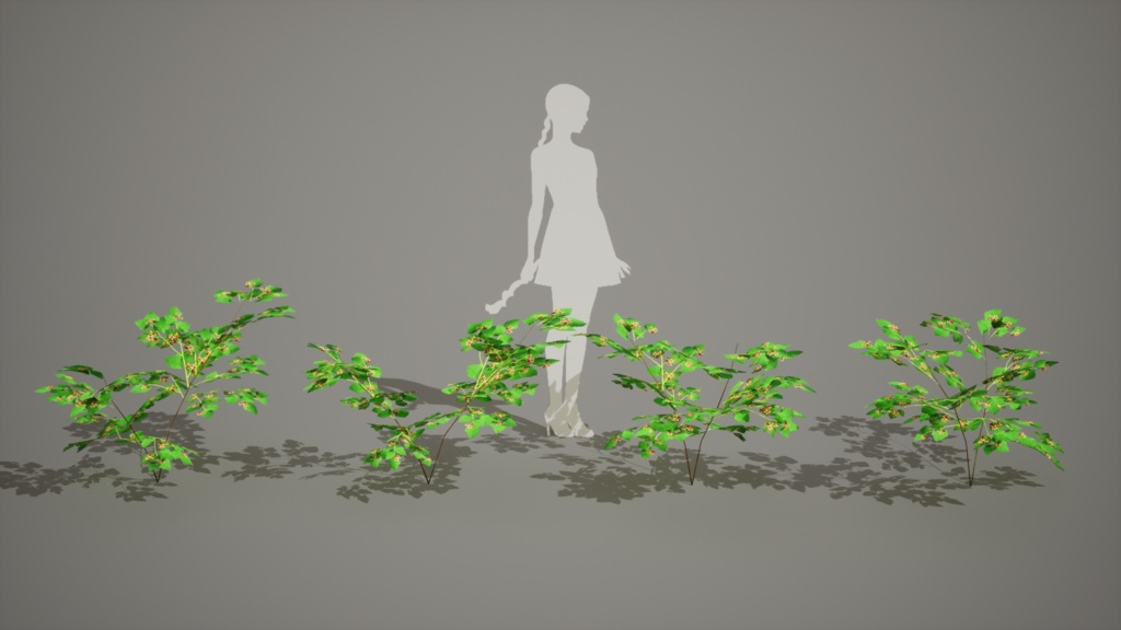 無棘の宝石、タケシマキイチゴ