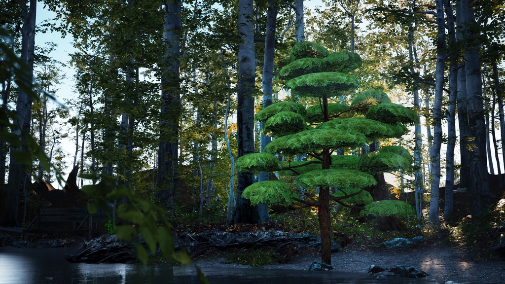 神秘の五葉松、ウルルンの宝 五葉松