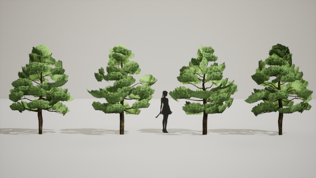 神秘の五葉松、ウルルンの宝 五葉松