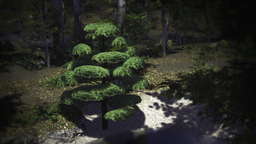 神秘の五葉松、ウルルンの宝 五葉松