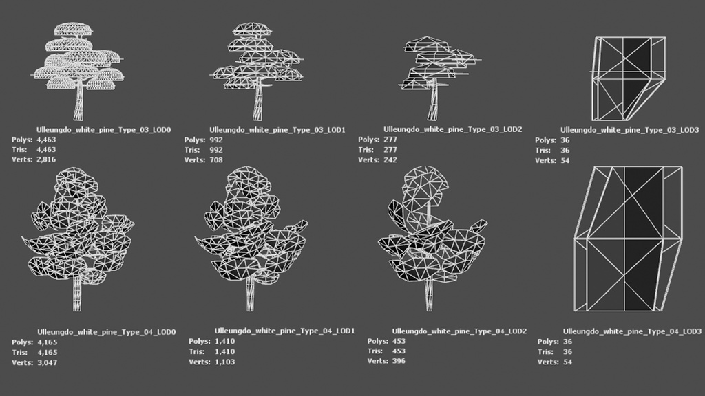 神秘の五葉松、ウルルンの宝 五葉松