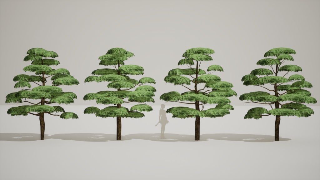 神秘の五葉松、ウルルンの宝 五葉松