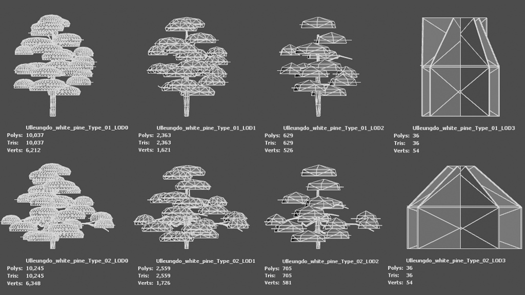 神秘の五葉松、ウルルンの宝 五葉松