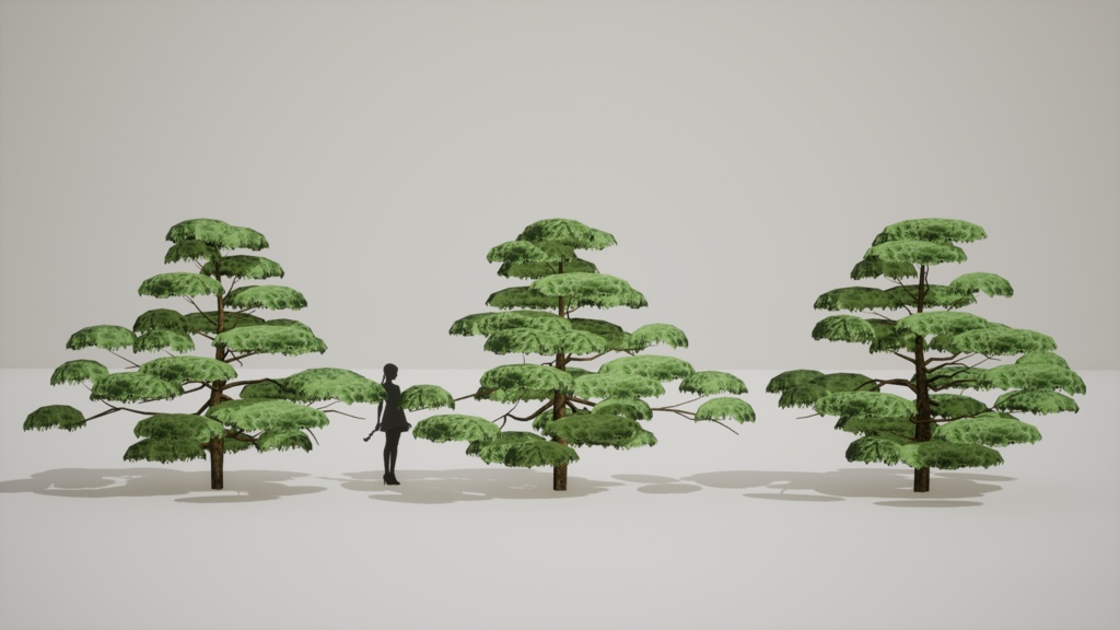 神秘の五葉松、ウルルンの宝 五葉松