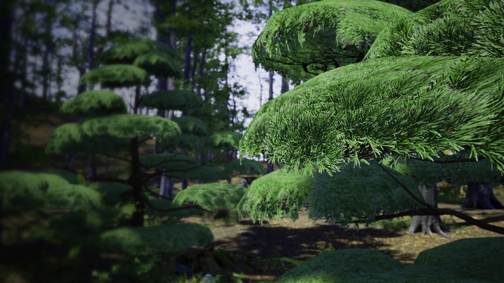 神秘の五葉松、ウルルンの宝 五葉松