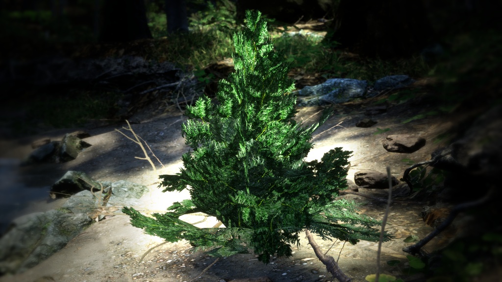 韓国の高山の宝石、コウライネズコ