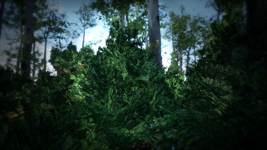 韓国の高山の宝石、コウライネズコ