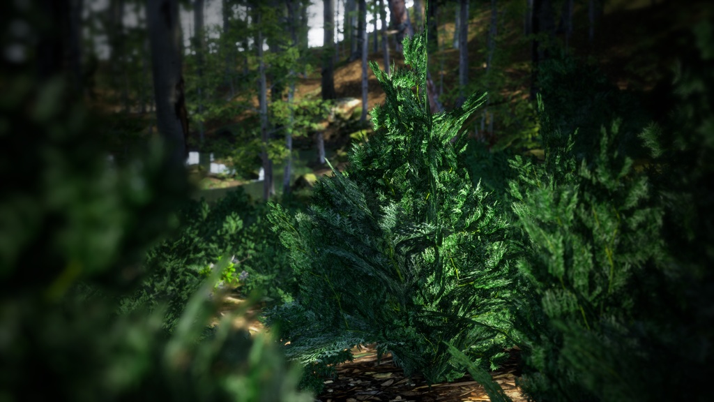 韓国の高山の宝石、コウライネズコ