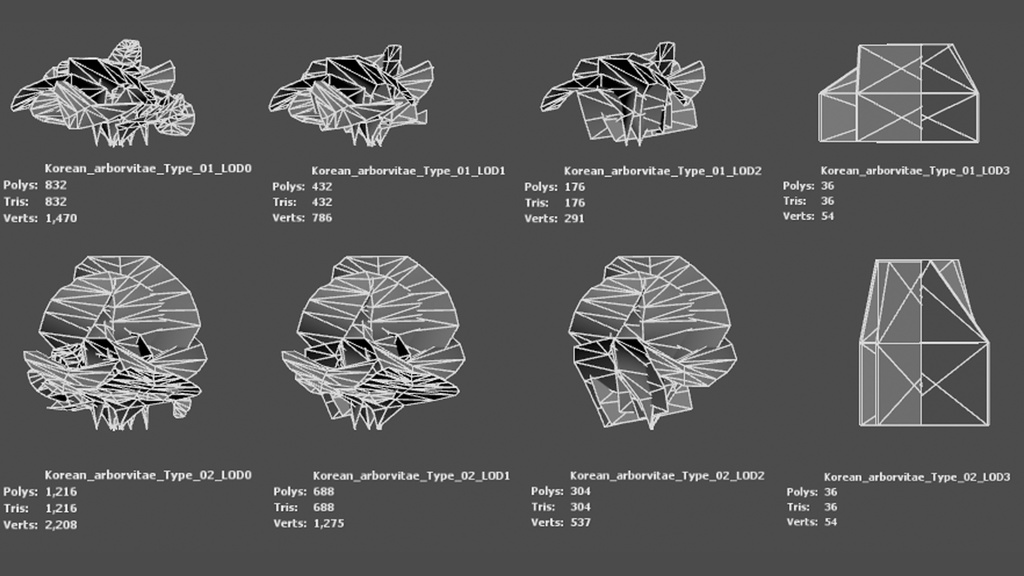 韓国の高山の宝石、コウライネズコ