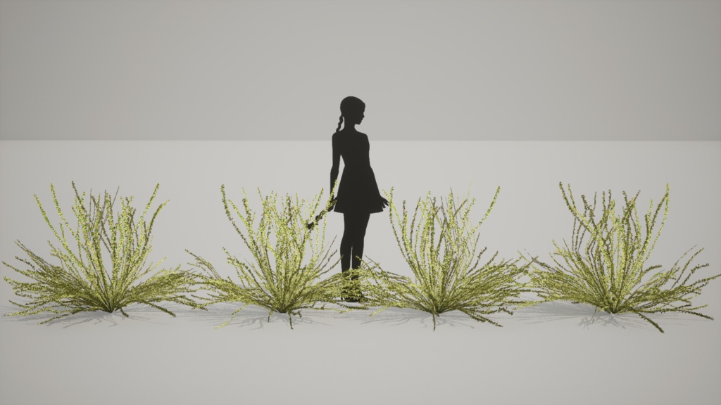 韓国の宝石、タニウツギ