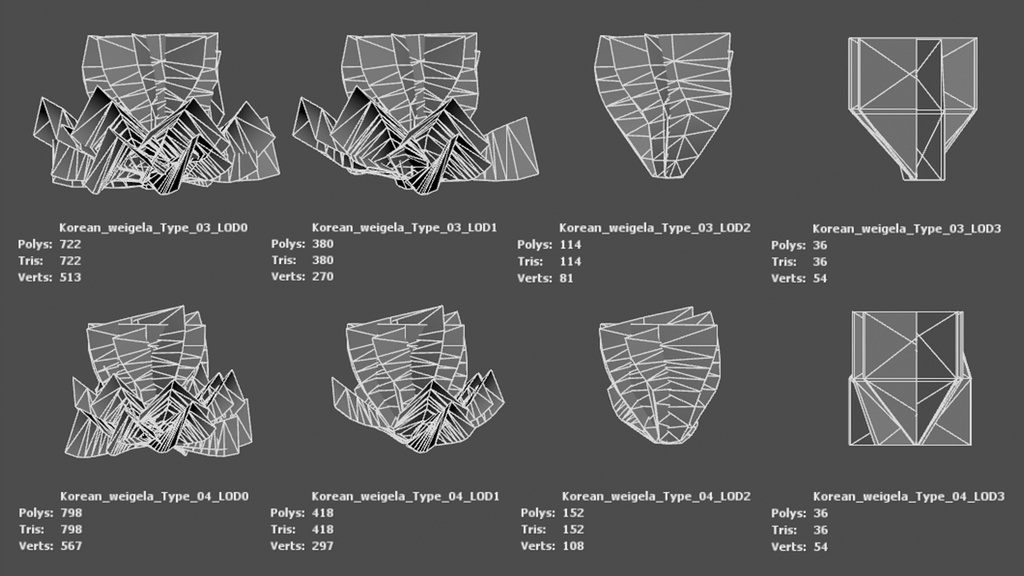 韓国の宝石、タニウツギ