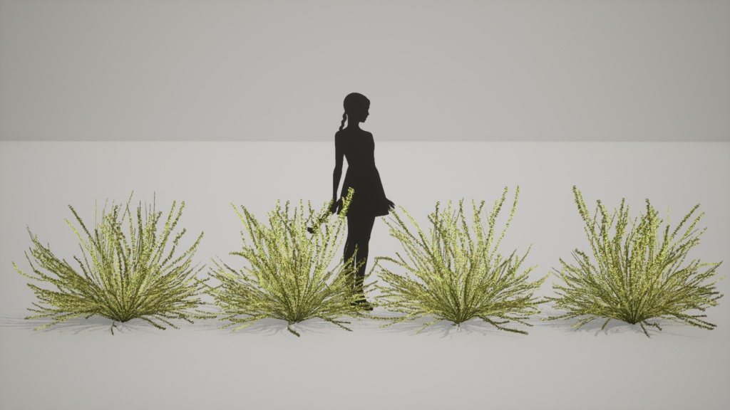 韓国の宝石、タニウツギ