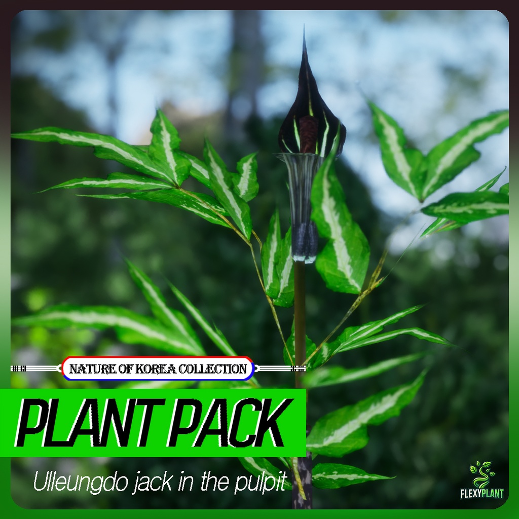単子葉植物:Ulleungdo jack-in-the-pulpitの3Dモデル