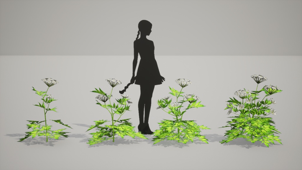 白束自慢:Korean weigelaの3Dモデル