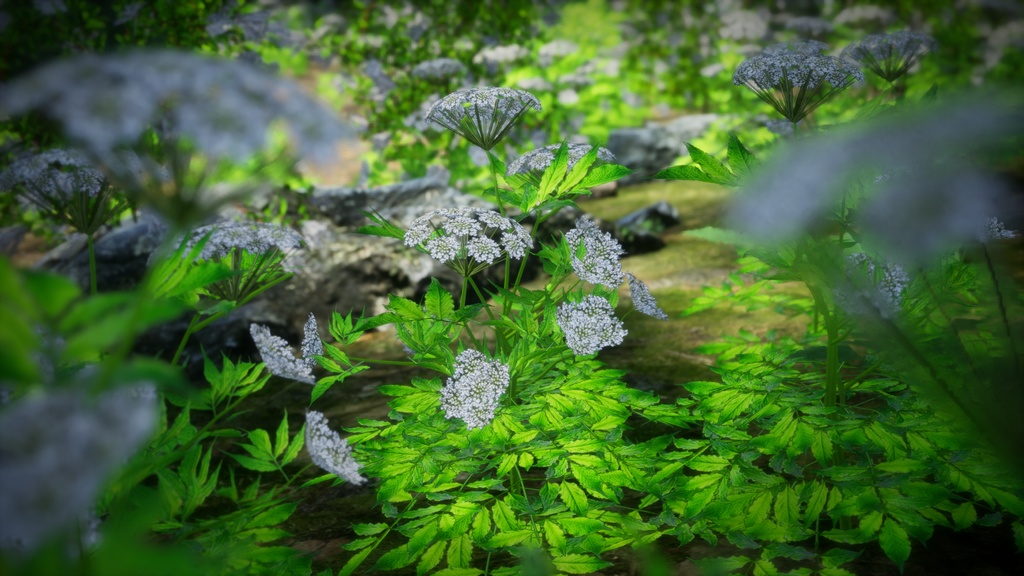 白束自慢:Korean weigelaの3Dモデル