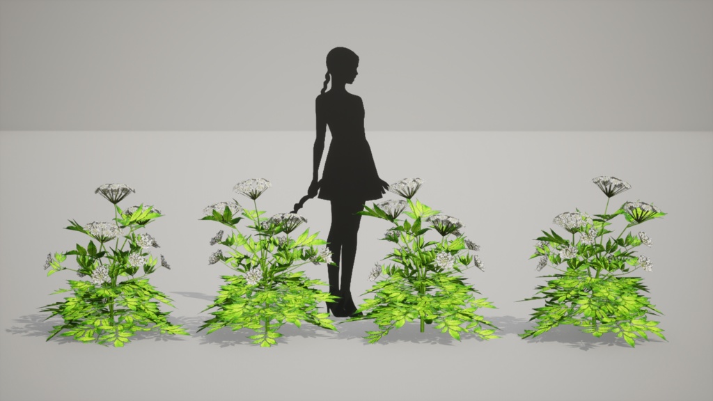 白束自慢:Korean weigelaの3Dモデル