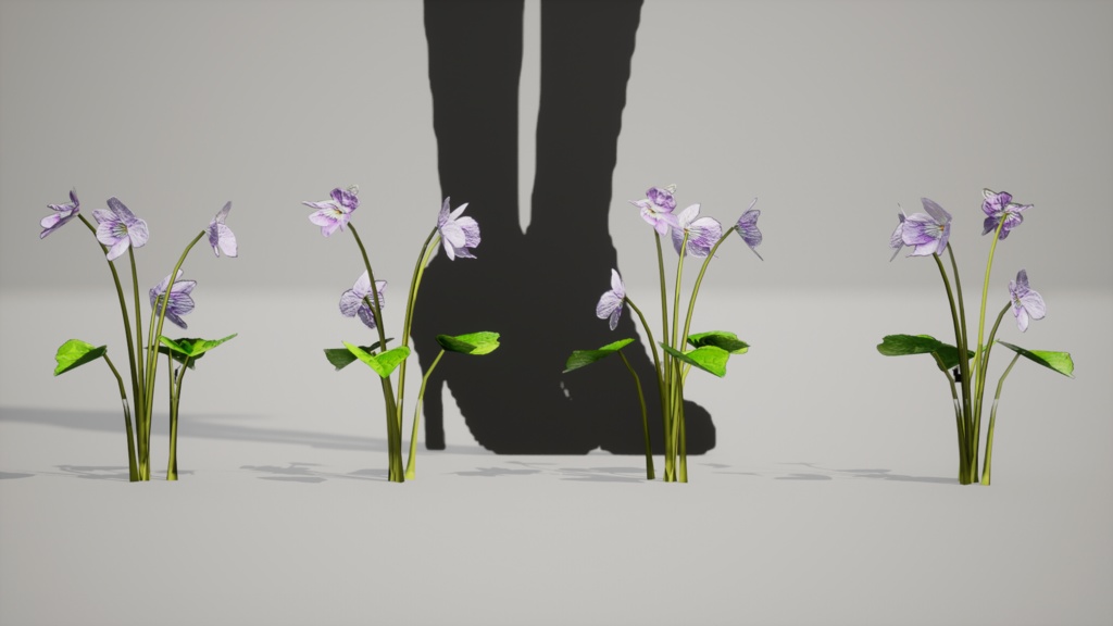 島の宝石:タチツボスミレの3Dモデル