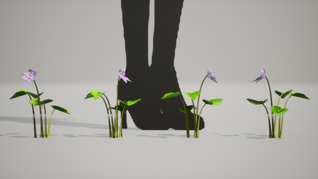 島の宝石:タチツボスミレの3Dモデル