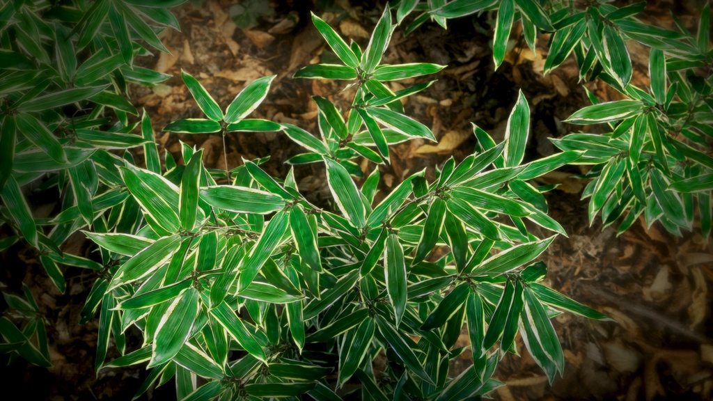 済州島の風韻:チェジュジョリッテの3Dモデル