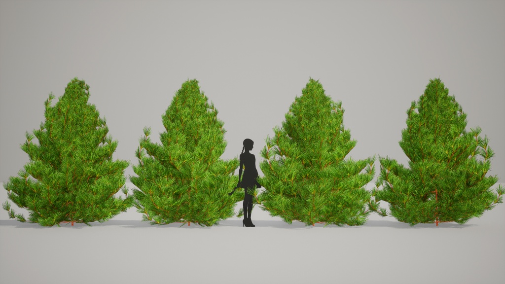 黄金の森の守護者:コウヤマキの3Dモデル