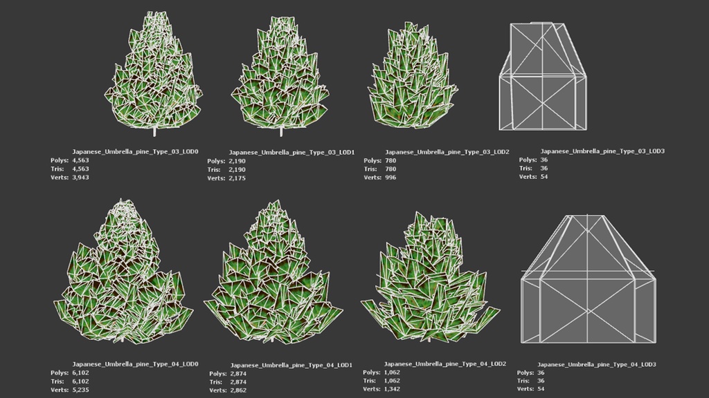 黄金の森の守護者:コウヤマキの3Dモデル