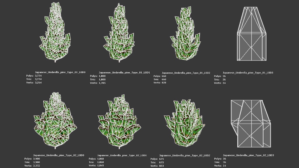 黄金の森の守護者:コウヤマキの3Dモデル