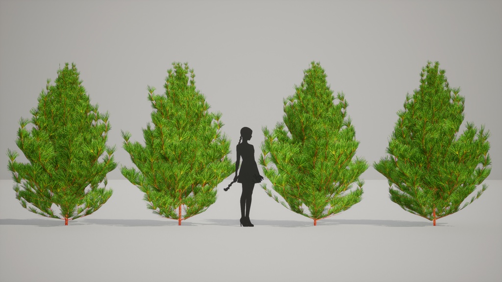 黄金の森の守護者:コウヤマキの3Dモデル